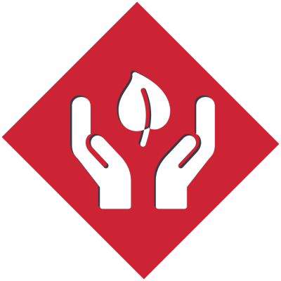 Icon AFPUK Wertekompass nachhaltig